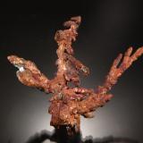 Copper<br />Calumet Township, Houghton County, Michigan, USA<br />6.0 x 4.8 x 1.1 cm<br /> (Author: Michael Shaw)