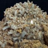 CelestinaSerra Grossa, Elche, Comarca Bajo Vinalopó, Alicante / Alacant, Comunidad Valenciana / Comunitat Valenciana, España81x51x25 mm (Autor: Luis Ramón Coves)