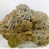 CelestinaSerra Grossa, Elche, Comarca Bajo Vinalopó, Alicante / Alacant, Comunidad Valenciana / Comunitat Valenciana, España150x110x15 mm (Autor: Luis Ramón Coves)