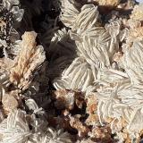 Baryte<br />Oberzeiring, Pöls Valley, Niedere Tauern, Styria/Steiermark, Austria<br />11 x 9 cm<br /> (Author: Volkmar Stingl)