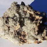 Baryte<br />Oberzeiring, Pöls Valley, Niedere Tauern, Styria/Steiermark, Austria<br />11 x 9 cm<br /> (Author: Volkmar Stingl)