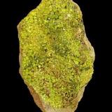 Pyromorphite, Huari-Huari Mine, Potosi Department, Bolivia.  5.5 x 3.5 x 2 cm (Author: Tracy)