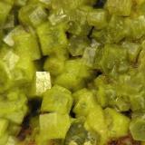 Close-up of hexagonal pyromorphite crystals (Author: Tracy)