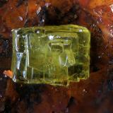 Nealite<br />Mazarrón, Comarca Alto Guadalentín, Region of Murcia (Murcia), Spain<br />FOV 1.2 mm.<br /> (Author: Rewitzer Christian)