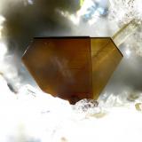 FluorophlogopiteCanteras de La Aljorra, Cerro de la Cabezuela (Volcán de la Aljorra), La Aljorra, Cartagena, Comarca Campo de Cartagena, Región de Murcia (Murcia), EspañaFOV 0.8 mm. (Author: Rewitzer Christian)