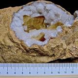 Baryte QuartzCondado Monroe, Indiana, USA14 cm (Author: Bob Harman)