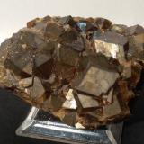 Andradite<br />Dalnegorsk, Dalnegorsk Urban District, Primorsky Krai, Russia<br />68 x 49 mm<br /> (Author: Sante Celiberti)