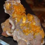 Wulfenite
Ahumada 
Chihuahua, Mexico
blades up to 17 mm on edge. 
Ex Dr. Miguel Romero Sanchez Mineral Collection (Author: Gail)