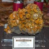 This piece was in the American Treasures case of Pyromorphites from the Kellogg mine in Idaho. (Author: Gail)