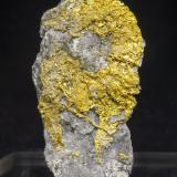 Gold<br />Los Delirios claim, Delirios III cut, Municipio Vetas, Soto Province, Santander Department, Colombia<br />Specimen height 4 cm<br /> (Author: Tobi)