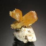 StilbiteBraunlage, Goslar District, Harz, Lower Saxony/Niedersachsen, Germany2.1 x 2.1 cm (Author: Michael Shaw)