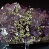 Fluorite, Pyrite<br />Yaogangxian Mine, Yizhang, Chenzhou Prefecture, Hunan Province, China<br />143 mm x 87 mm<br /> (Author: Don Lum)