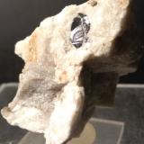 Columbita-(Fe)/Columbita-(Mn) (Serie)<br />Malpensata, Peninsula Piona, Colico, Provincia Lecco, Lombardía/Lombardia, Italia<br />44 x 35 mm<br /> (Autor: Sante Celiberti)