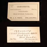 _Two of several labels that accompanied the specimen (Author: Michael Shaw)