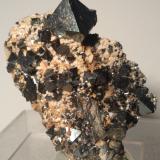 Magnetite<br />Cerro Huañaquino, Paco Grande, Tomás Frías Province, Potosí Department, Bolivia<br />62 x 40 mm<br /> (Author: Sante Celiberti)
