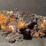 Mimetite (variety campylite), Romanèchite<br />Dry Gill Mine, Caldbeck Fells, Allerdale, former Cumberland, Cumbria, England / United Kingdom<br />56 x 38 mm<br /> (Author: Sante Celiberti)
