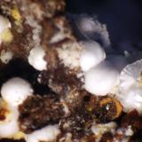 AlumohidrocalcitaElvira Mine, Rocabruna, Bruguers, Gavà, Comarca Baix Llobregat, Barcelona, Catalonia / Catalunya, Spain+-2 mm (Autor: José Luis Zamora)