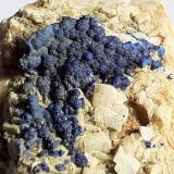 Azurite, Dolomite<br />Ringenwechsel Mining District, Troi, District Schwaz, Inn Valley, North Tyrol, Tyrol/Tirol, Austria<br />3 x 3 cm<br /> (Author: Volkmar Stingl)