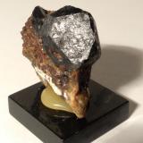 Chorlo<br />Malpensata, Peninsula Piona, Colico, Provincia Lecco, Lombardía/Lombardia, Italia<br />46 x 46 mm<br /> (Autor: Sante Celiberti)
