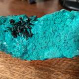 Atacamite, Libethenite, Pseudomalachite<br />La Farola Mine, Cerro Pintado, Las Pintadas District, Tierra Amarilla, Copiapó Province, Atacama Region, Chile<br />78 x 44 mm<br /> (Author: Sante Celiberti)