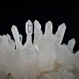 Quartz Scepters, Quartz (variety chalcedony)<br />Dugway Range, Tooele County, Utah, USA<br />86 mm x 56 mm x 57 mm<br /> (Author: Don Lum)