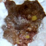 Kleinita<br />Mina McDermitt, Cordero, Distrito Opalite, Condado Humboldt, Nevada, USA<br />< 1 mm<br /> (Autor: José Luis Zamora)