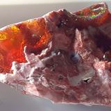 Opal (variety fire opal)Magdalena, Municipio Magdalena, Jalisco, Mexico2 x 1,5 cm (Author: Volkmar Stingl)