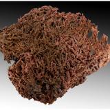 Copper<br />Rocklands Mine, Cloncurry, Cloncurry Shire, Queensland, Australia<br />16 cm x 16 cm x 5 cm<br /> (Author: silvia)