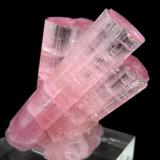 Elbaite
Paprok, Nuristan Province, Afghanistan
69 mm x 51 mm (Author: Carles Millan)