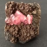 Rhodochrosite<br />Uchucchacua Mine, Oyón Province, Lima Department, Peru<br />41 x 38 mm<br /> (Author: Sante Celiberti)