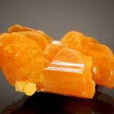 Wulfenite<br />La Morita Mine, Municipio Ascención, Chihuahua, Mexico<br />2.5 x 1.5 cm<br /> (Author: Michael Shaw)