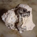 Fluorite<br />Caccamo, Metropolitan City of Palermo Province, Sicily, Italy<br />Cm 7x5.5<br /> (Author: mineralenzo)