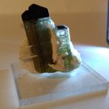 Tourmaline (Group), Albite<br />Stak Nala, Haramosh Mountains, Skardu District, Gilgit-Baltistan (Northern Areas), Pakistan<br />37 x 30 mm<br /> (Author: Sante Celiberti)