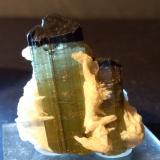 Tourmaline (Group), Albite<br />Stak Nala, Haramosh Mountains, Skardu District, Gilgit-Baltistan (Northern Areas), Pakistan<br />37 x 30 mm<br /> (Author: Sante Celiberti)