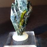 Titanite, Diopside<br />Tormiq Valley, Baltistan District, Gilgit-Baltistan (Northern Areas), Pakistan<br />42 x 23 mm<br /> (Author: Sante Celiberti)
