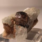 Tourmaline (Group)<br />Camp Robin area, Manandriana District, Amoron'i Mania Region, Fianarantsoa Province, Madagascar<br />40 x 27 mm<br /> (Author: Sante Celiberti)