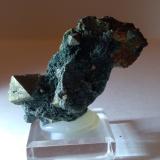 Pirita, Chlorita (Grupo)<br />Mina Brosso, Cálea, Léssolo, Distrito Canavese, Provincia Ciudad metropolitana de Turín, Piamonte (Piemonte), Italia<br />53 x 40 mm<br /> (Autor: Sante Celiberti)