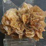 YesoFortuna, Comarca Oriental, Region of Murcia (Murcia), Spain6 x 4.5 cm (Autor: Pedro Antonio)