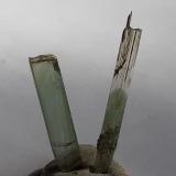 Diopside<br />Diopside rift (Schwarzenstein), Ochsner-Rotkopf Massif, Zemmgrund, Ziller Valley (Zillertal), North Tyrol, Tyrol/Tirol, Austria<br />2,5 and 3,5 cm<br /> (Author: Volkmar Stingl)