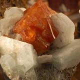 Scheelite on Muscovite with Beryl
Ping Wu Co., Sichuan Province, China (Author: Gail)