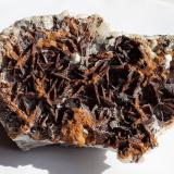 Siderite, QuartzKohlwald, Flirsch, Distrito Landeck, Tirol Norte, Tirol, Austria9 x 6 cm (Author: Volkmar Stingl)