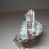 Tourmaline<br />Stak Nala, Haramosh Mountains, Skardu District, Gilgit-Baltistan (Northern Areas), Pakistan<br />55 x 46 mm<br /> (Author: Sante Celiberti)