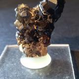 Cassiterite<br />Minas da Panasqueira, Aldeia de São Francisco de Assis, Covilhã, Castelo Branco, Cova da Beira, Centro, Portugal<br />30 x 20 mm<br /> (Author: Sante Celiberti)