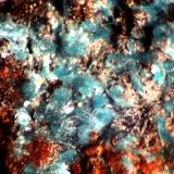 Serpierita<br />San Gavino Monreale, Villacidro, Provincia Sud Sardegna, Cerdeña/Sardegna, Italia<br />< 1 mm<br /> (Autor: José Luis Zamora)