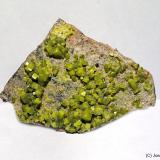 AutunitaSabugal, Distrito Guarda, Región Centro, Portugal33 x 30 mm (Autor: Joan Niella)
