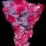 Sweet Home Mine Rhodochrosite with Fluorite (large cabinet) collected by Graham Sutton. Size: 9.5 cm (Author: GneissWare)
