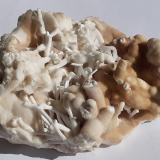 Aragonite (variety flos ferri)<br />Erzberg, Eisenerz (Steiermark), Leoben District, Styria/Steiermark, Austria<br />13 x 9 cm<br /> (Author: Volkmar Stingl)