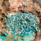 Malachite<br />Mockleiten Mine, Brixlegg, Kufstein District, Inn Valley, North Tyrol, Tyrol/Tirol, Austria<br />44 x 34 mm<br /> (Author: Sante Celiberti)
