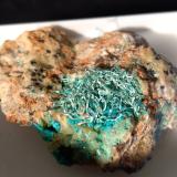 Malachite<br />Mockleiten Mine, Brixlegg, Kufstein District, Inn Valley, North Tyrol, Tyrol/Tirol, Austria<br />44 x 34 mm<br /> (Author: Sante Celiberti)
