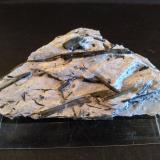 Actinolite<br />Ziller Valley (Zillertal), North Tyrol, Tyrol/Tirol, Austria<br />96 x 49 mm<br /> (Author: Sante Celiberti)